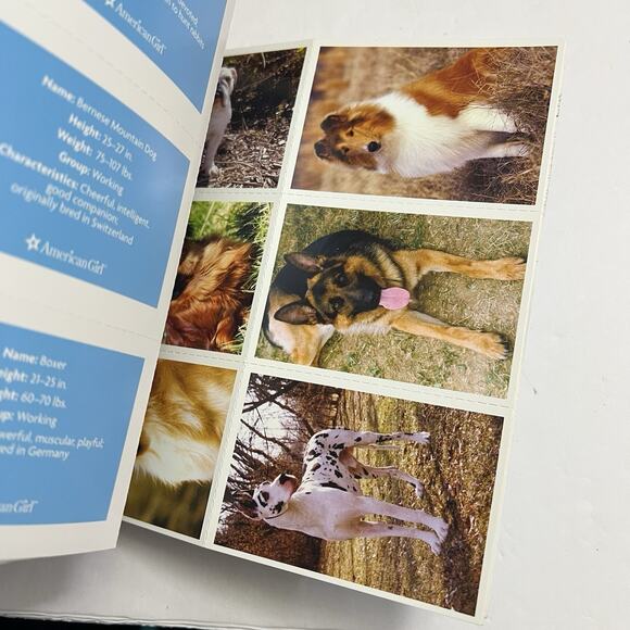 Set of 2 American Girl Books Girls and their Dogs and Girls and their Horses - Picture 6 of 13